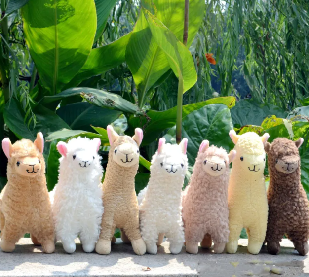 Plush Toy