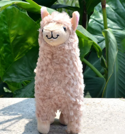 Peluche